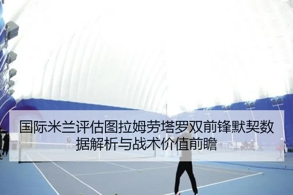 国际米兰评估图拉姆劳塔罗双前锋默契数据解析与战术价值前瞻