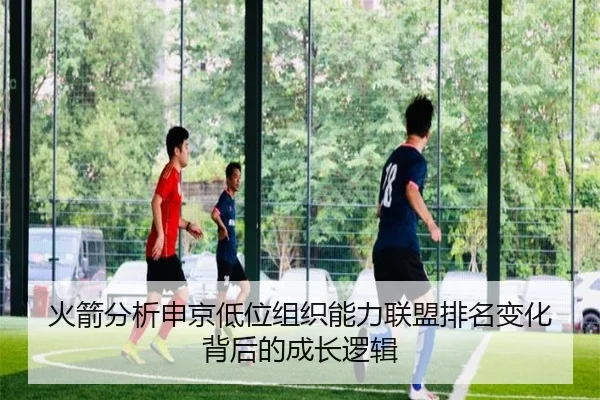 火箭分析申京低位组织能力联盟排名变化背后的成长逻辑