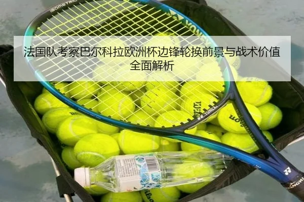 法国队考察巴尔科拉欧洲杯边锋轮换前景与战术价值全面解析